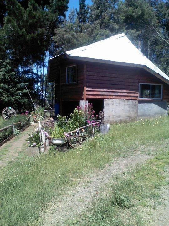 Cabanas Huilipan Gonzalez Nueva Imperial Exterior photo